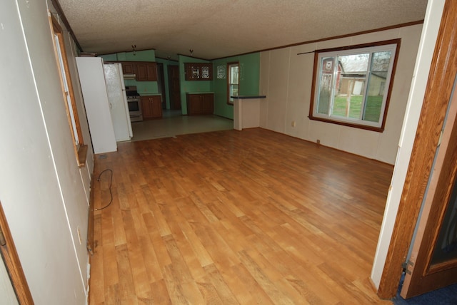 20543 Treaty Line Rd, West Mansfield, OH 43358 - unfurnished living room with a textured ceiling, light wood finished floors, and lofted ceiling