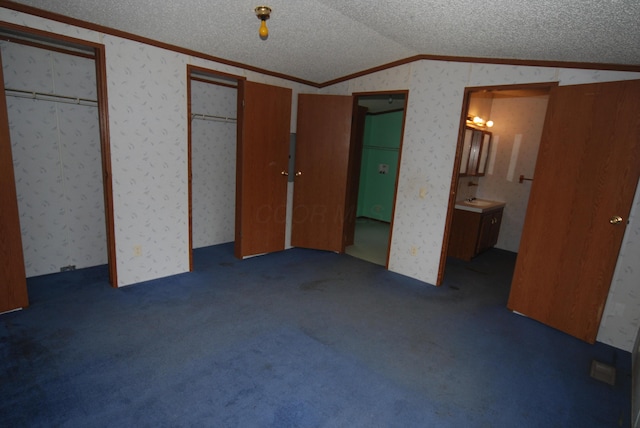 20543 Treaty Line Rd, West Mansfield, OH 43358 - unfurnished bedroom with multiple closets, a textured ceiling, ornamental molding, and lofted ceiling