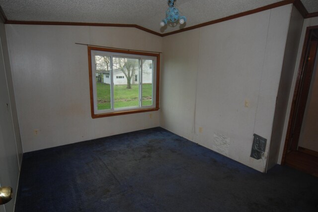 20543 Treaty Line Rd, West Mansfield, OH 43358 - unfurnished room featuring carpet flooring, a textured ceiling, and ornamental molding