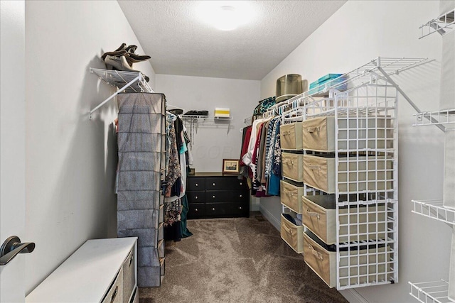 walk in closet featuring carpet floors