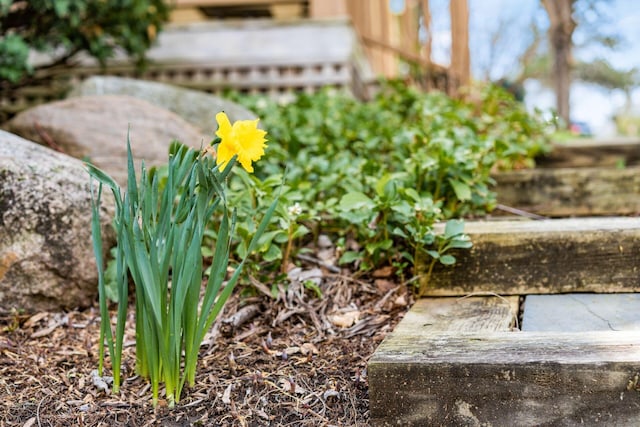 exterior details with a garden