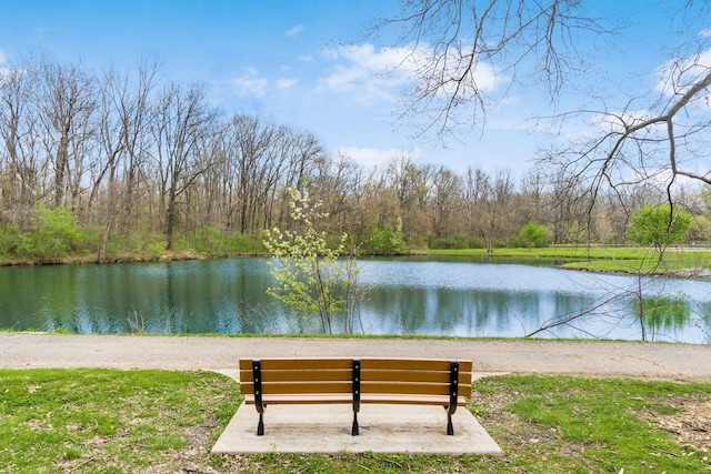property view of water