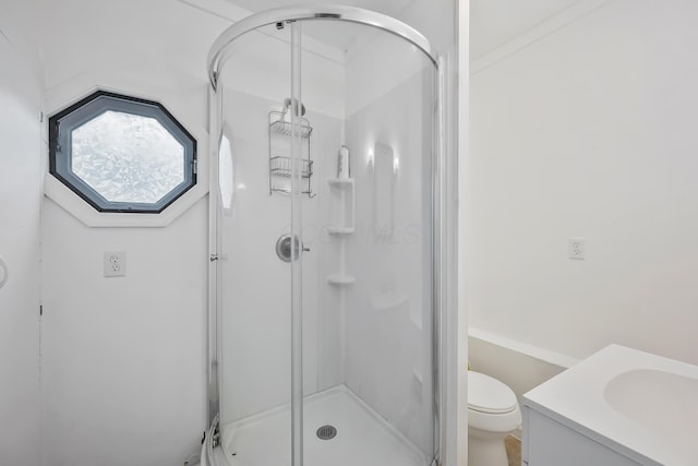 bathroom featuring toilet, a stall shower, and vanity
