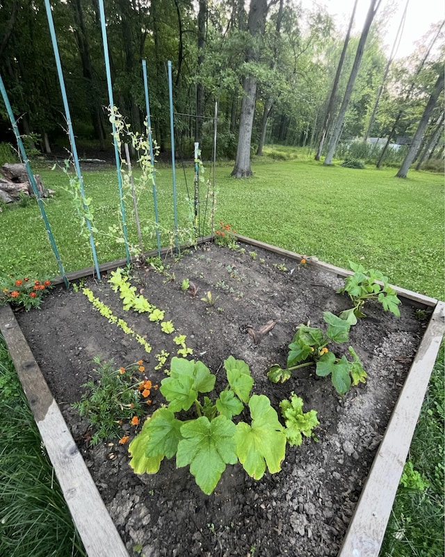 view of yard featuring a garden