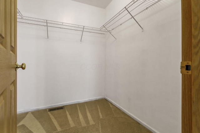 walk in closet with carpet and visible vents
