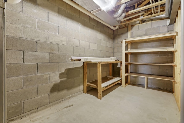 unfinished below grade area with concrete block wall