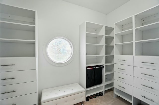 4201 Penrith Ct, Dublin, OH 43016 - walk in closet featuring carpet flooring