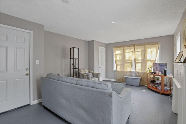 living area featuring a healthy amount of sunlight, baseboards, a textured ceiling, and wood finished floors