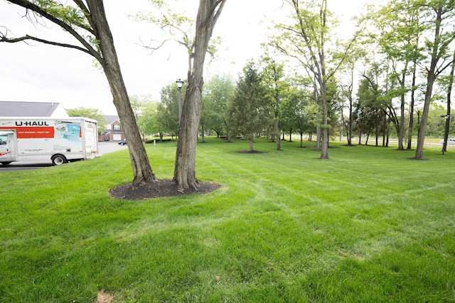 4979 Village Mews, Westerville, OH 43081 - photo 24