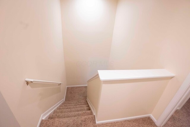 4979 Village Mews, Westerville, OH 43081 - photo 53
