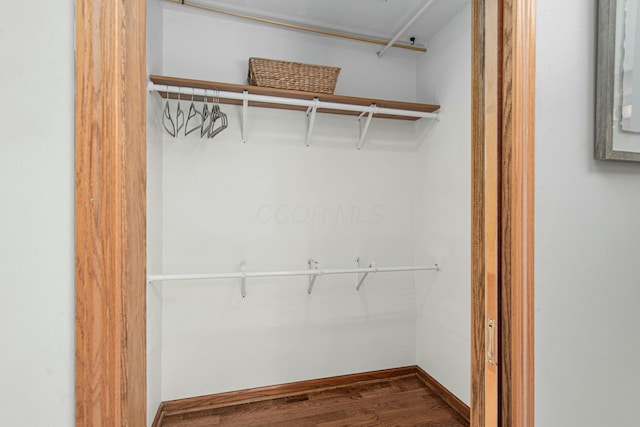 view of closet