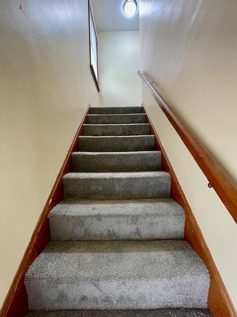 staircase featuring carpet flooring