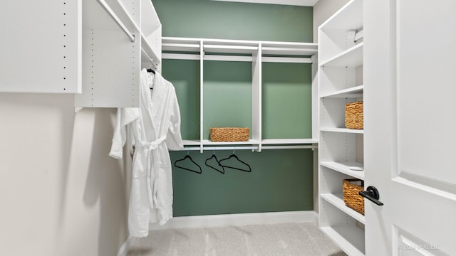 walk in closet featuring carpet flooring