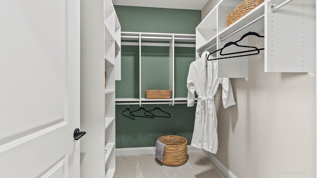 walk in closet featuring carpet flooring