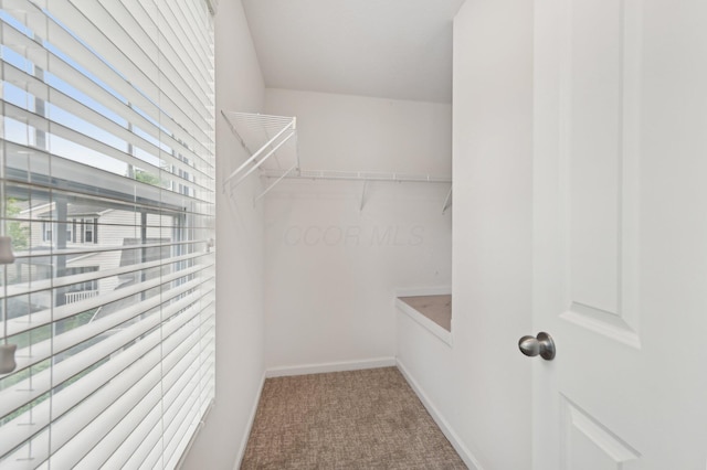 3947 Summerstone Dr, Columbus, OH 43230 - walk in closet featuring carpet flooring