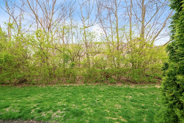 4889 Ashleigh Dr, Dublin, OH 43016 - view of yard