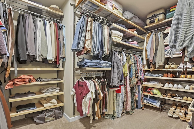 walk in closet featuring carpet