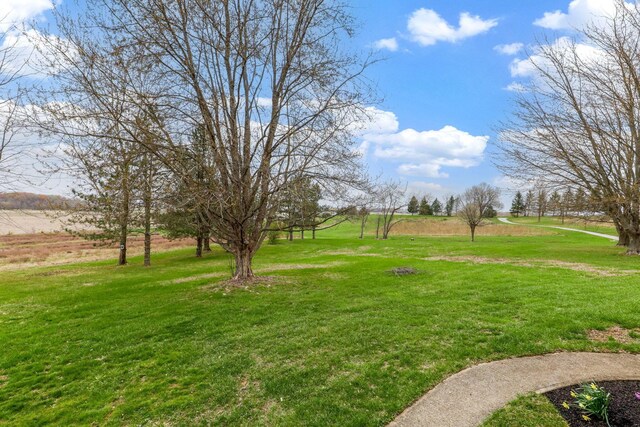 8778 Township Rd 36, Somerset, OH 43783 - view of yard