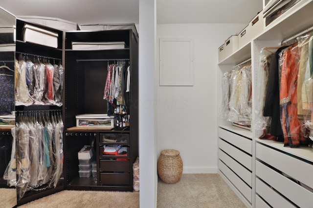 walk in closet with carpet floors