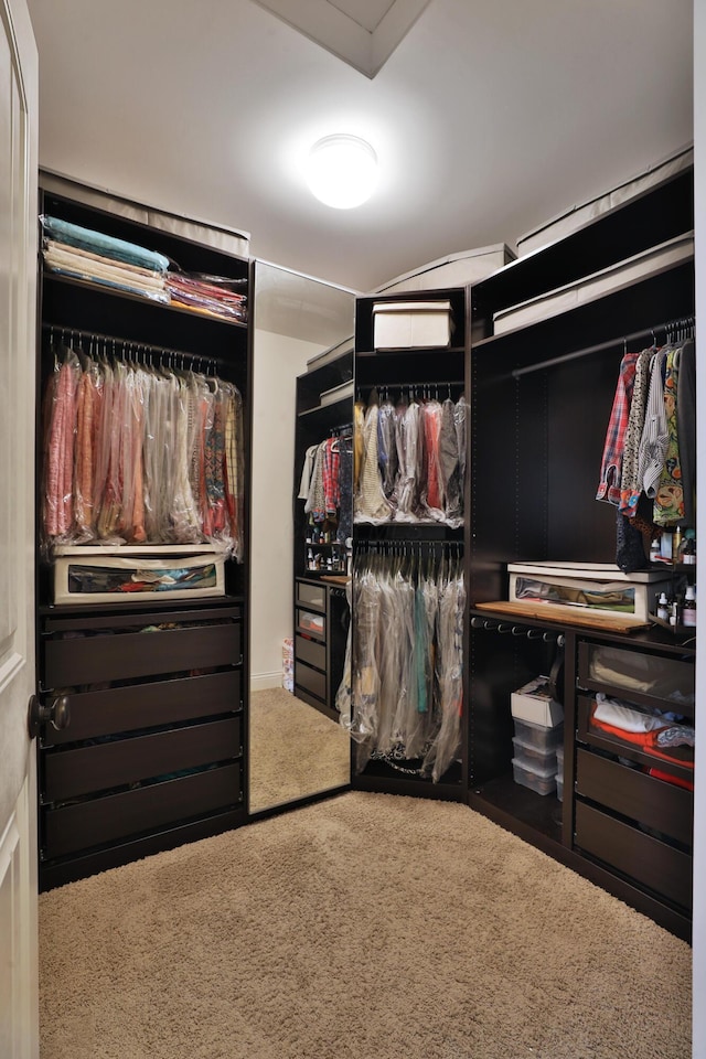 spacious closet featuring carpet floors