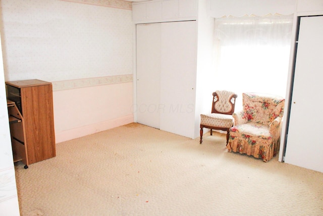 living area with carpet floors