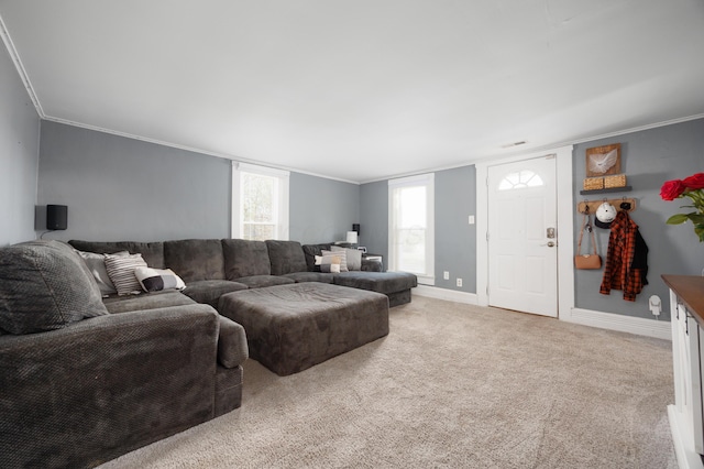 5514 Fairfield Rd, Orient, OH 43146 - living area with carpet flooring, ornamental molding, and baseboards