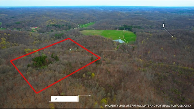 bird's eye view featuring a forest view