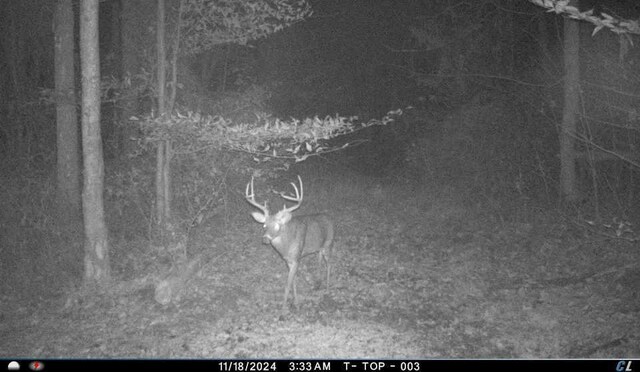 18261 Jacksonville Rd, Glouster, OH 45732