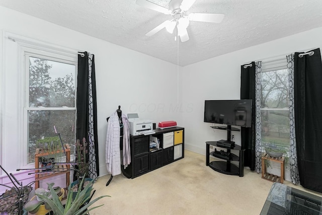 interior space with baseboards, a ceiling fan, carpet flooring, and a textured ceiling