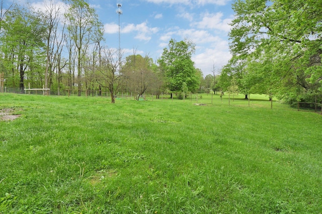 5614 US Highway 42, Mount Gilead, OH 43338 - view of yard