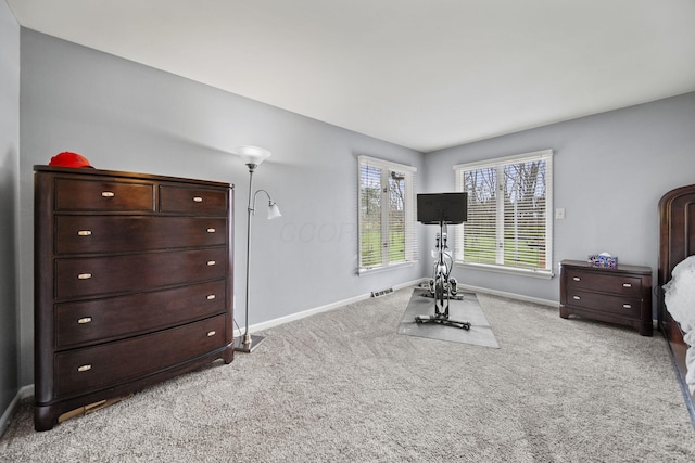11378 Ann Dr NW, Baltimore, OH 43105 - workout room with carpet, visible vents, and baseboards