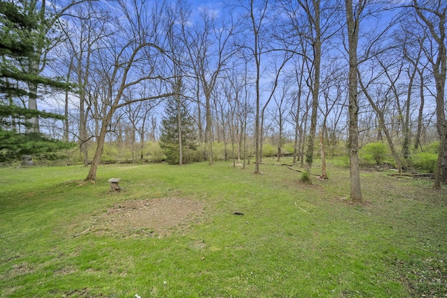 11378 Ann Dr NW, Baltimore, OH 43105 - view of yard