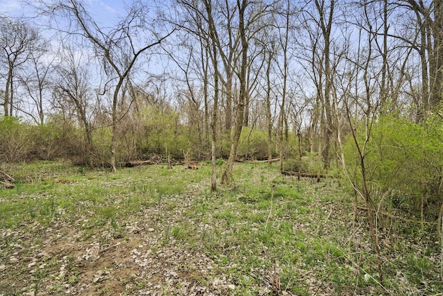 11378 Ann Dr NW, Baltimore, OH 43105 - view of local wilderness