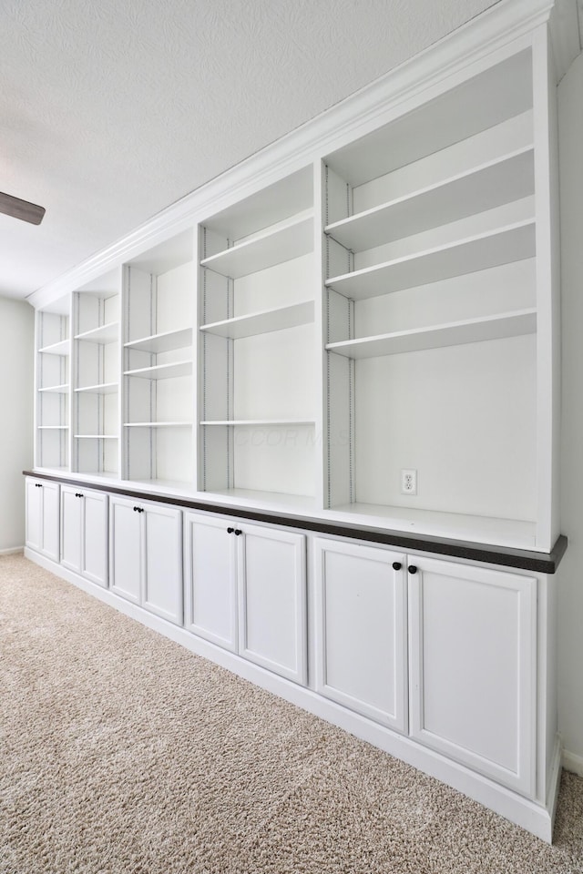 8050 Flint Run Pl, Columbus, OH 43235 - view of closet