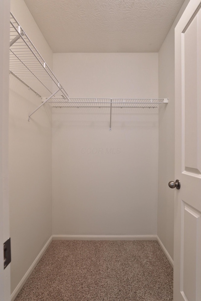 8050 Flint Run Pl, Columbus, OH 43235 - walk in closet with carpet