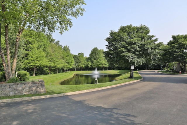 8050 Flint Run Pl, Columbus, OH 43235 - view of asphalt road with a water view and curbs