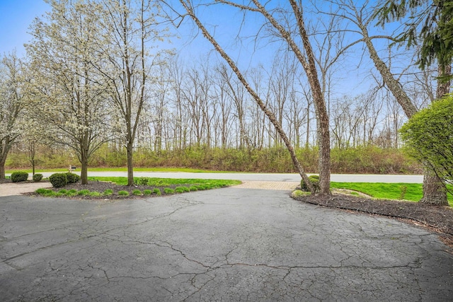 view of road