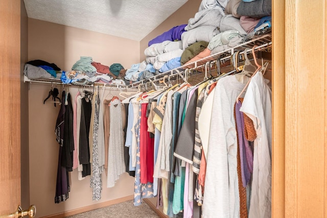 spacious closet featuring carpet flooring