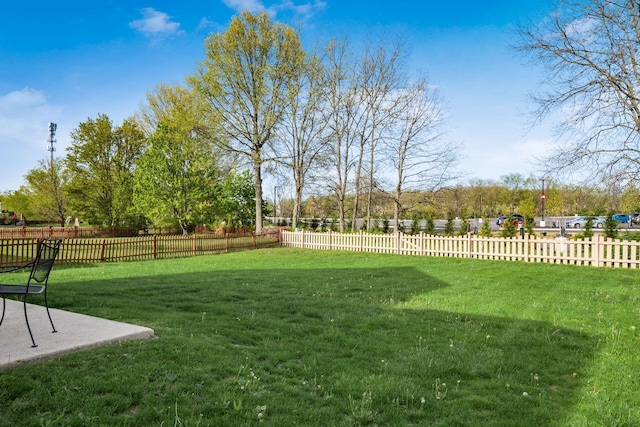 view of yard with fence