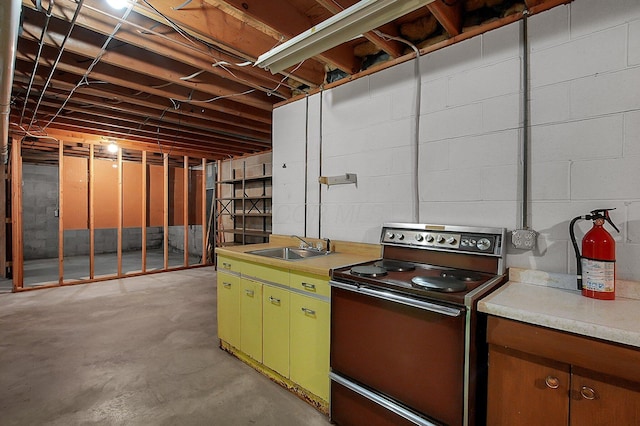 unfinished below grade area featuring a sink