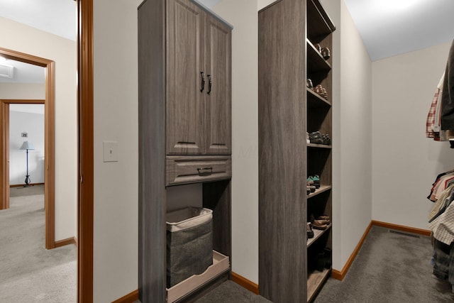 191 Craig Dr, Thornville, OH 43076 - walk in closet featuring carpet floors