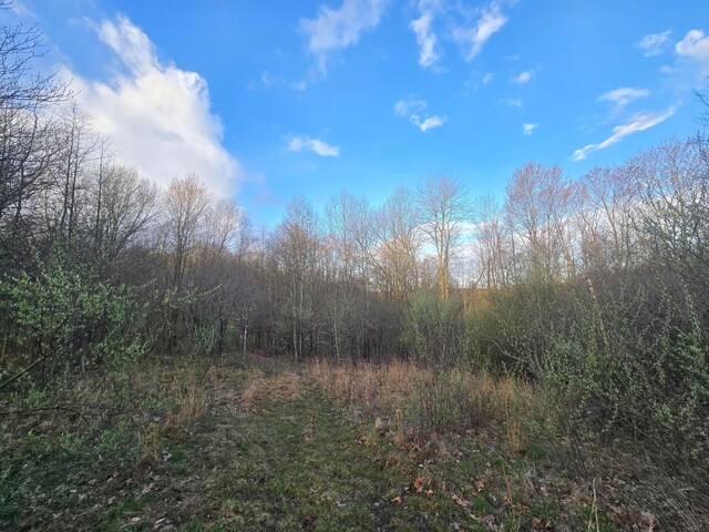 0 Township Rd 375, Warsaw, OH 43844 - photo 4