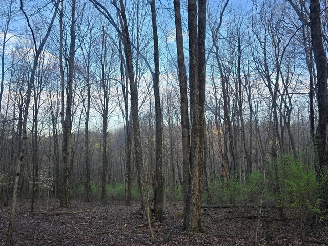 0 Township Rd 375, Warsaw, OH 43844 - photo 13