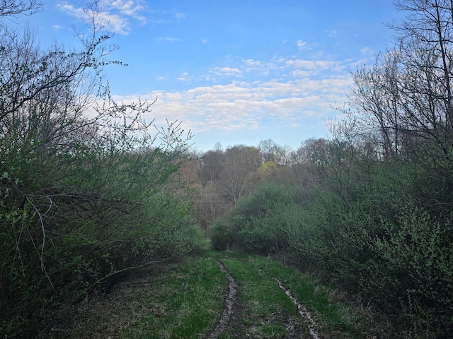 0 Township Rd 375, Warsaw, OH 43844 - photo 1