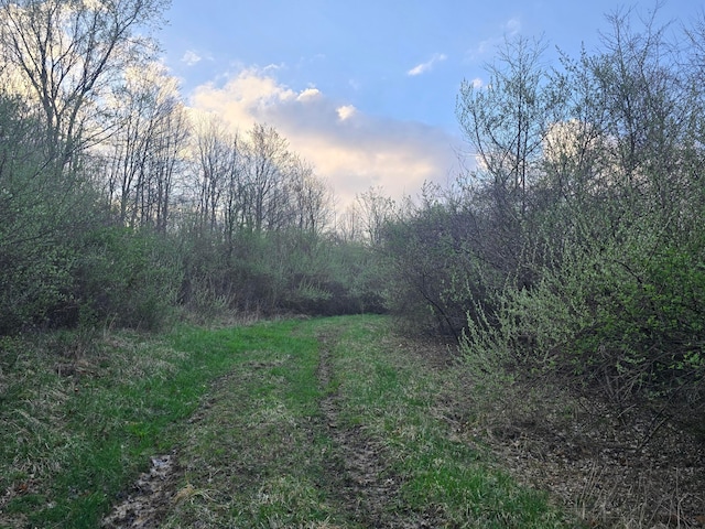 0 Township Rd 375, Warsaw, OH 43844 - photo 3