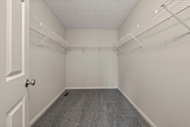 spacious closet with carpet floors and visible vents