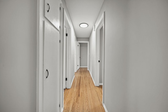2960 Berwick Blvd, Columbus, OH 43209 - hallway with baseboards and light wood-style flooring