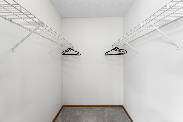 walk in closet featuring carpet