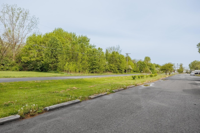 view of street featuring curbs
