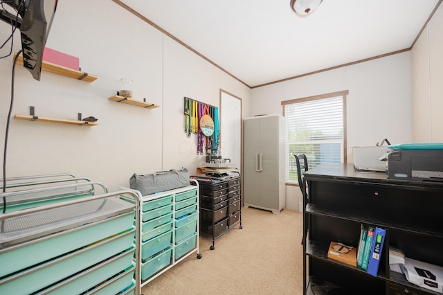 interior space featuring crown molding and light carpet